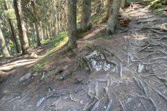 CO_Davos-Klosters__Bahnentour_by-Hitsch_08-scaled