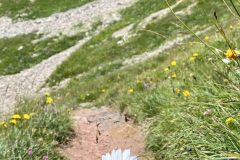 HO8705_06-scaled